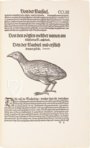 Conrad Gessner: Vogelbuch – Josef Stocker-Schmid – NS 4 | F – Zentralbibliothek Zürich (Zürich, Switzerland)