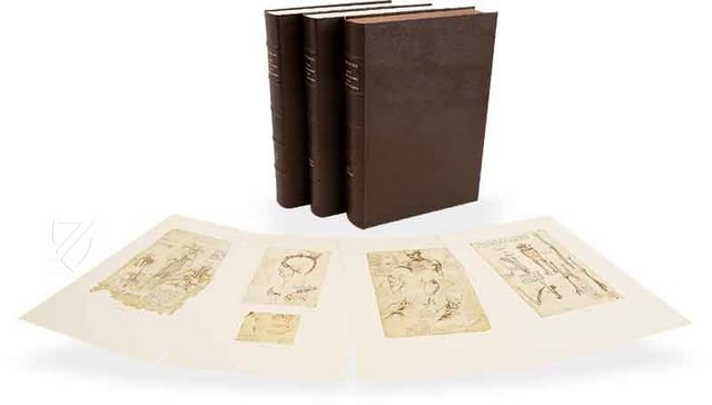 Corpus of the Anatomical Studies - Ziereis Facsimiles