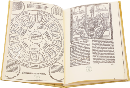 Compendio de la Salud Humana – Vicent Garcia Editores – I/51 – Biblioteca Nacional de España (Madrid, Spain) Compendio de la Salud Humana – Vicent Garcia Editores – I/51 – Biblioteca Nacional de España (Madrid, Spain)