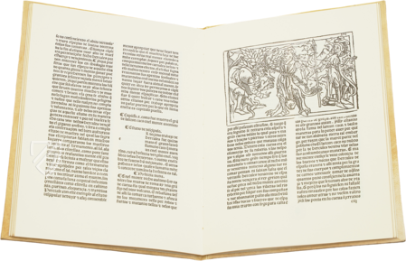 The Twelve Labors of Hercules β Vicent Garcia Editores β Inc. 2441 β Biblioteca Nacional de EspaΓ±a (Madrid, Spain) The Twelve Labors of Hercules β Vicent Garcia Editores β Inc. 2441 β Biblioteca Nacional de EspaΓ±a (Madrid, Spain)