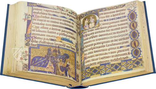 Guernsey Lilly – The Clear Vue Publishing Partnership Limited – Sausmarez Manor Collection (Saint Martins, United Kingdom) Guernsey Lilly – The Clear Vue Publishing Partnership Limited – Sausmarez Manor Collection (Saint Martins, United Kingdom)