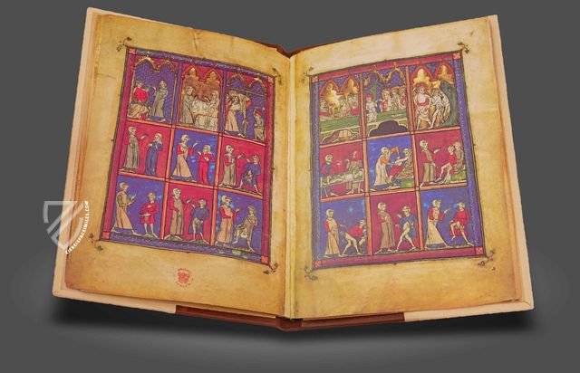 Chirurgia – Editions Medicina Rara – Codex Sloane 1977 – British Library (London, United Kingdom) Chirurgia – Editions Medicina Rara – Codex Sloane 1977 – British Library (London, United Kingdom)