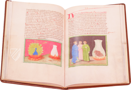 Aurora Consurgens – Millennium Liber – MS Ger. Qu. 848 – Staatsbibliothek Preussischer Kulturbesitz (Berlin, Germany) Aurora Consurgens – Millennium Liber – MS Ger. Qu. 848 – Staatsbibliothek Preussischer Kulturbesitz (Berlin, Germany)