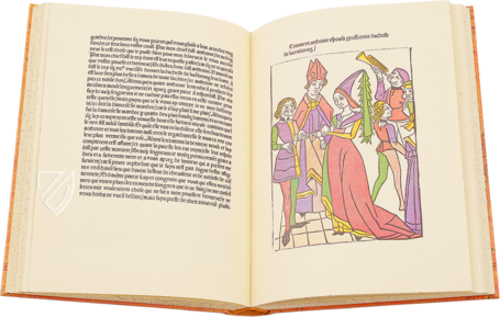 L'Historie de la belle MΓ©lusine de Jean d'Arras β Studer β Lm 2Β° 17 β Herzog August Bibliothek (WolfenbΓΌttel, Germany) L'Historie de la belle MΓ©lusine de Jean d'Arras β Studer β Lm 2Β° 17 β Herzog August Bibliothek (WolfenbΓΌttel, Germany)