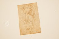 Drawings of Leonardo da Vinci and His circle - American Collections β Giunti Editore β New York Public Library (New York, USA) Drawings of Leonardo da Vinci and His circle - American Collections β Giunti Editore β New York Public Library (New York, USA)