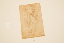 Drawings of Leonardo da Vinci and His circle - American Collections β Giunti Editore β New York Public Library (New York, USA) Drawings of Leonardo da Vinci and His circle - American Collections β Giunti Editore β New York Public Library (New York, USA)