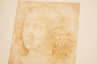 Drawings of Leonardo da Vinci and His circle - American Collections β Giunti Editore β New York Public Library (New York, USA) Drawings of Leonardo da Vinci and His circle - American Collections β Giunti Editore β New York Public Library (New York, USA)