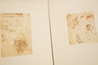 Drawings of Leonardo da Vinci and His circle - American Collections β Giunti Editore β New York Public Library (New York, USA) Drawings of Leonardo da Vinci and His circle - American Collections β Giunti Editore β New York Public Library (New York, USA)