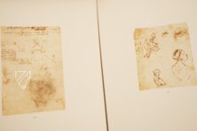 Drawings of Leonardo da Vinci and His circle - American Collections β Giunti Editore β New York Public Library (New York, USA) Drawings of Leonardo da Vinci and His circle - American Collections β Giunti Editore β New York Public Library (New York, USA)