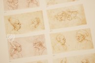 Drawings of Leonardo da Vinci and His circle - American Collections β Giunti Editore β New York Public Library (New York, USA) Drawings of Leonardo da Vinci and His circle - American Collections β Giunti Editore β New York Public Library (New York, USA)