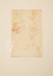 Drawings of Leonardo da Vinci and His circle - American Collections β Giunti Editore β New York Public Library (New York, USA) Drawings of Leonardo da Vinci and His circle - American Collections β Giunti Editore β New York Public Library (New York, USA)