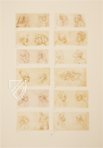 Drawings of Leonardo da Vinci and His circle - American Collections β Giunti Editore β New York Public Library (New York, USA) Drawings of Leonardo da Vinci and His circle - American Collections β Giunti Editore β New York Public Library (New York, USA)