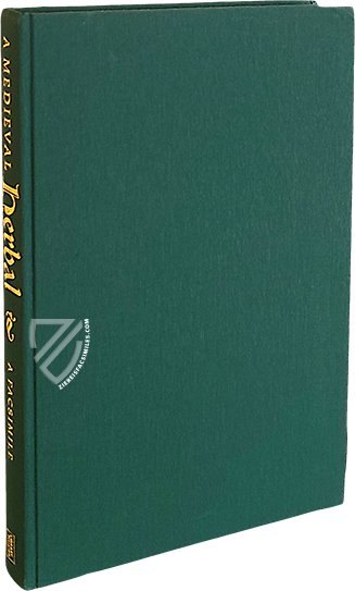 Egerton Tractatus de Herbis β British Library β British Library (London, United Kingdom) Egerton Tractatus de Herbis β British Library β British Library (London, United Kingdom)