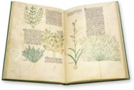 Egerton Tractatus de Herbis β The Folio Society β MS Egerton 747 β British Library (London, United Kingdom) Egerton Tractatus de Herbis β The Folio Society β MS Egerton 747 β British Library (London, United Kingdom)