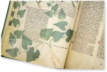 Egerton Tractatus de Herbis β The Folio Society β MS Egerton 747 β British Library (London, United Kingdom) Egerton Tractatus de Herbis β The Folio Society β MS Egerton 747 β British Library (London, United Kingdom)