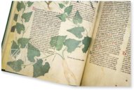 Egerton Tractatus de Herbis β The Folio Society β MS Egerton 747 β British Library (London, United Kingdom) Egerton Tractatus de Herbis β The Folio Society β MS Egerton 747 β British Library (London, United Kingdom)