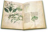 Egerton Tractatus de Herbis β The Folio Society β MS Egerton 747 β British Library (London, United Kingdom) Egerton Tractatus de Herbis β The Folio Society β MS Egerton 747 β British Library (London, United Kingdom)