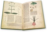 Egerton Tractatus de Herbis β The Folio Society β MS Egerton 747 β British Library (London, United Kingdom) Egerton Tractatus de Herbis β The Folio Society β MS Egerton 747 β British Library (London, United Kingdom)