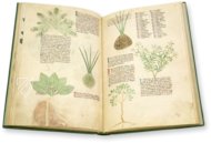 Egerton Tractatus de Herbis β The Folio Society β MS Egerton 747 β British Library (London, United Kingdom) Egerton Tractatus de Herbis β The Folio Society β MS Egerton 747 β British Library (London, United Kingdom)