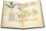 Egerton Tractatus de Herbis β The Folio Society β MS Egerton 747 β British Library (London, United Kingdom) Egerton Tractatus de Herbis β The Folio Society β MS Egerton 747 β British Library (London, United Kingdom)