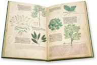Egerton Tractatus de Herbis β The Folio Society β MS Egerton 747 β British Library (London, United Kingdom) Egerton Tractatus de Herbis β The Folio Society β MS Egerton 747 β British Library (London, United Kingdom)