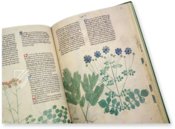 Egerton Tractatus de Herbis β The Folio Society β MS Egerton 747 β British Library (London, United Kingdom) Egerton Tractatus de Herbis β The Folio Society β MS Egerton 747 β British Library (London, United Kingdom)