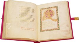 Golden Psalter of St. Gall β Quaternio Verlag Luzern β Cod. Sang. 22 β Stiftsbibliothek St. Gallen (St. Gallen, Switzerland) Golden Psalter of St. Gall β Quaternio Verlag Luzern β Cod. Sang. 22 β Stiftsbibliothek St. Gallen (St. Gallen, Switzerland)
