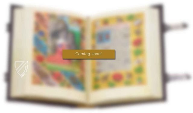 Gospels of Henry II for Montecassino – Belser Verlag – Cod. Ott. Lat. 74 – Biblioteca Apostolica Vaticana (Vatican City, Vatican City State) Gospels of Henry II for Montecassino – Belser Verlag – Cod. Ott. Lat. 74 – Biblioteca Apostolica Vaticana (Vatican City, Vatican City State)