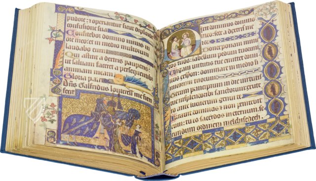 Guernsey Lilly – The Clear Vue Publishing Partnership Limited – Sausmarez Manor Collection (Saint Martins, United Kingdom) Guernsey Lilly – The Clear Vue Publishing Partnership Limited – Sausmarez Manor Collection (Saint Martins, United Kingdom)