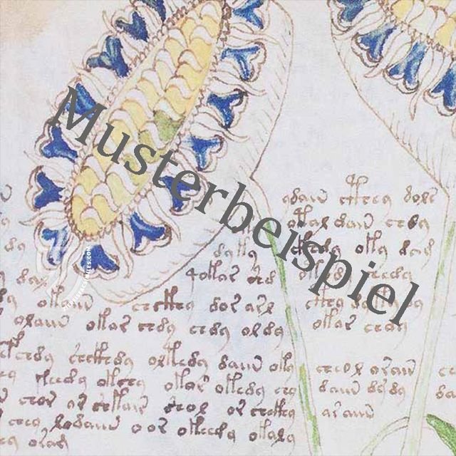 Hardouyn Hours in Budapest – Corvina – Ant. 76 – Hungarian Academy of Sciences (Budapest, Hungary)