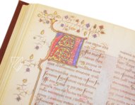 History of the Destruction of Troy – Orbis Mediaevalis – Lat.F.v.IV.5 – National Library of Russia (St. Petersburg, Russia) History of the Destruction of Troy – Orbis Mediaevalis – Lat.F.v.IV.5 – National Library of Russia (St. Petersburg, Russia)