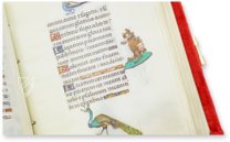 Hours of Joanna of Castile β Patrimonio Ediciones β Add Ms. 18852 β British Library (London, United Kingdom) Hours of Joanna of Castile β Patrimonio Ediciones β Add Ms. 18852 β British Library (London, United Kingdom)