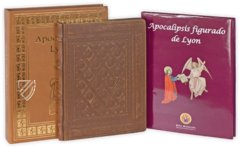 Illuminated Apocalypse of Lyon – Orbis Mediaevalis – ms. 0439 – Bibliothèque municipale de Lyon (Lyon, France) Illuminated Apocalypse of Lyon – Orbis Mediaevalis – ms. 0439 – Bibliothèque municipale de Lyon (Lyon, France)