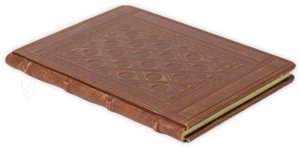 Illuminated Apocalypse of Lyon – Orbis Mediaevalis – ms. 0439 – Bibliothèque municipale de Lyon (Lyon, France) Illuminated Apocalypse of Lyon – Orbis Mediaevalis – ms. 0439 – Bibliothèque municipale de Lyon (Lyon, France)