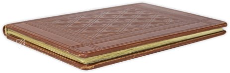 Illuminated Apocalypse of Lyon – Orbis Mediaevalis – ms. 0439 – Bibliothèque municipale de Lyon (Lyon, France) Illuminated Apocalypse of Lyon – Orbis Mediaevalis – ms. 0439 – Bibliothèque municipale de Lyon (Lyon, France)