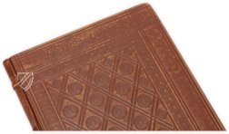 Illuminated Apocalypse of Lyon – Orbis Mediaevalis – ms. 0439 – Bibliothèque municipale de Lyon (Lyon, France) Illuminated Apocalypse of Lyon – Orbis Mediaevalis – ms. 0439 – Bibliothèque municipale de Lyon (Lyon, France)