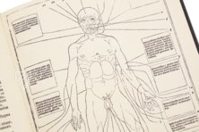 Johannes de Ketham: Fasciculus Medicinae – Editions Medicina Rara – Museum Otto Schäfer (Schweinfurt, Germany) Johannes de Ketham: Fasciculus Medicinae – Editions Medicina Rara – Museum Otto Schäfer (Schweinfurt, Germany)