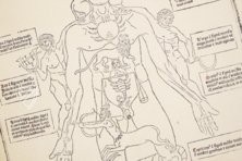 Johannes de Ketham: Fasciculus Medicinae – Editions Medicina Rara – Museum Otto Schäfer (Schweinfurt, Germany) Johannes de Ketham: Fasciculus Medicinae – Editions Medicina Rara – Museum Otto Schäfer (Schweinfurt, Germany)