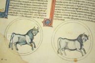 Lapidary of Alfonso X the Wise β Edilan β ms. H. I. 15 β Real Biblioteca del Monasterio de San Lorenzo de El Escorial (San Lorenzo de El Escorial, Spain) Lapidary of Alfonso X the Wise β Edilan β ms. H. I. 15 β Real Biblioteca del Monasterio de San Lorenzo de El Escorial (San Lorenzo de El Escorial, Spain)