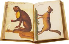 Natural History Atlas of Philip II - Pomar Codex â Vicent Garcia Editores â Ms. 9 â Biblioteca Històrica de la Universitat de València (Valencia, Spain) Natural History Atlas of Philip II - Pomar Codex â Vicent Garcia Editores â Ms. 9 â Biblioteca Històrica de la Universitat de València (Valencia, Spain)