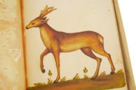 Natural History Atlas of Philip II - Pomar Codex â Vicent Garcia Editores â Ms. 9 â Biblioteca Històrica de la Universitat de València (Valencia, Spain) Natural History Atlas of Philip II - Pomar Codex â Vicent Garcia Editores â Ms. 9 â Biblioteca Històrica de la Universitat de València (Valencia, Spain)