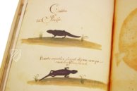 Natural History Atlas of Philip II - Pomar Codex â Vicent Garcia Editores â Ms. 9 â Biblioteca Històrica de la Universitat de València (Valencia, Spain) Natural History Atlas of Philip II - Pomar Codex â Vicent Garcia Editores â Ms. 9 â Biblioteca Històrica de la Universitat de València (Valencia, Spain)