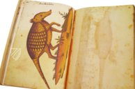 Natural History Atlas of Philip II - Pomar Codex â Vicent Garcia Editores â Ms. 9 â Biblioteca Històrica de la Universitat de València (Valencia, Spain) Natural History Atlas of Philip II - Pomar Codex â Vicent Garcia Editores â Ms. 9 â Biblioteca Històrica de la Universitat de València (Valencia, Spain)