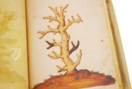 Natural History Atlas of Philip II - Pomar Codex â Vicent Garcia Editores â Ms. 9 â Biblioteca Històrica de la Universitat de València (Valencia, Spain) Natural History Atlas of Philip II - Pomar Codex â Vicent Garcia Editores â Ms. 9 â Biblioteca Històrica de la Universitat de València (Valencia, Spain)