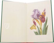 New Book of Flowers â Prestel Verlag â S.B.760 â SĂ€chsische Landesbibliothek â Staats- und UniversitĂ€tsbibliothek (Dresden, Germany) New Book of Flowers â Prestel Verlag â S.B.760 â SĂ€chsische Landesbibliothek â Staats- und UniversitĂ€tsbibliothek (Dresden, Germany)