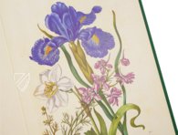 New Book of Flowers â Prestel Verlag â S.B.760 â SĂ€chsische Landesbibliothek â Staats- und UniversitĂ€tsbibliothek (Dresden, Germany) New Book of Flowers â Prestel Verlag â S.B.760 â SĂ€chsische Landesbibliothek â Staats- und UniversitĂ€tsbibliothek (Dresden, Germany)