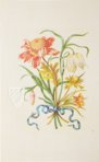 New Book of Flowers â Prestel Verlag â S.B.760 â SĂ€chsische Landesbibliothek â Staats- und UniversitĂ€tsbibliothek (Dresden, Germany) New Book of Flowers â Prestel Verlag â S.B.760 â SĂ€chsische Landesbibliothek â Staats- und UniversitĂ€tsbibliothek (Dresden, Germany)