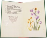 New Book of Flowers â Prestel Verlag â S.B.760 â SĂ€chsische Landesbibliothek â Staats- und UniversitĂ€tsbibliothek (Dresden, Germany) New Book of Flowers â Prestel Verlag â S.B.760 â SĂ€chsische Landesbibliothek â Staats- und UniversitĂ€tsbibliothek (Dresden, Germany)