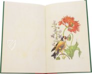 New Book of Flowers â Prestel Verlag â S.B.760 â SĂ€chsische Landesbibliothek â Staats- und UniversitĂ€tsbibliothek (Dresden, Germany) New Book of Flowers â Prestel Verlag â S.B.760 â SĂ€chsische Landesbibliothek â Staats- und UniversitĂ€tsbibliothek (Dresden, Germany)
