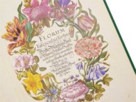New Book of Flowers â Prestel Verlag â S.B.760 â SĂ€chsische Landesbibliothek â Staats- und UniversitĂ€tsbibliothek (Dresden, Germany) New Book of Flowers â Prestel Verlag â S.B.760 â SĂ€chsische Landesbibliothek â Staats- und UniversitĂ€tsbibliothek (Dresden, Germany)